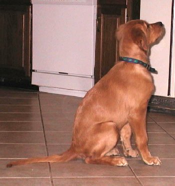 Hilfy, 16 weeks