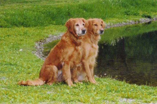 Hilfy and Penny