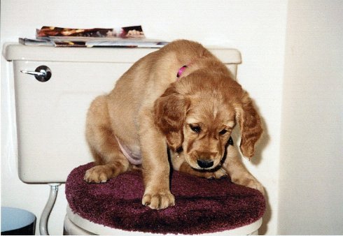 Hilfy 9 weeks