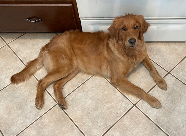 Fee at 14 months