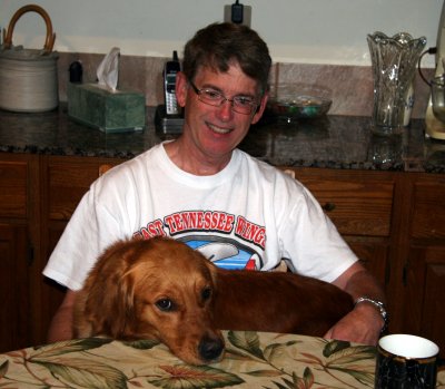 lapdogs