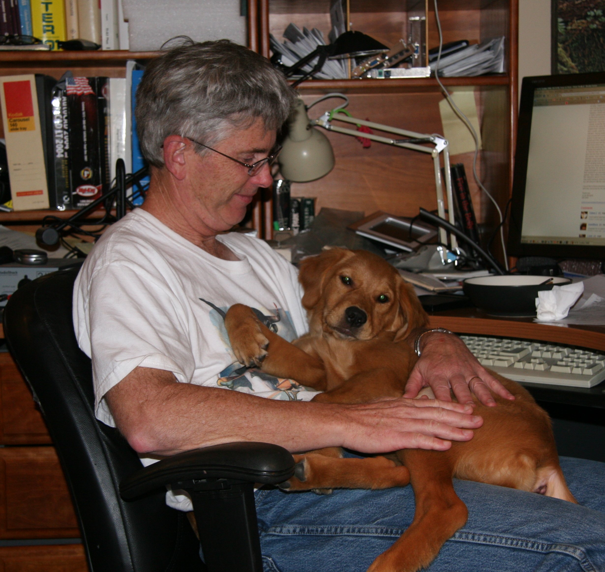puppy