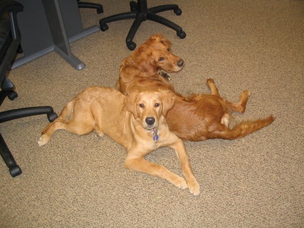 Hilfy and her puppy Penny