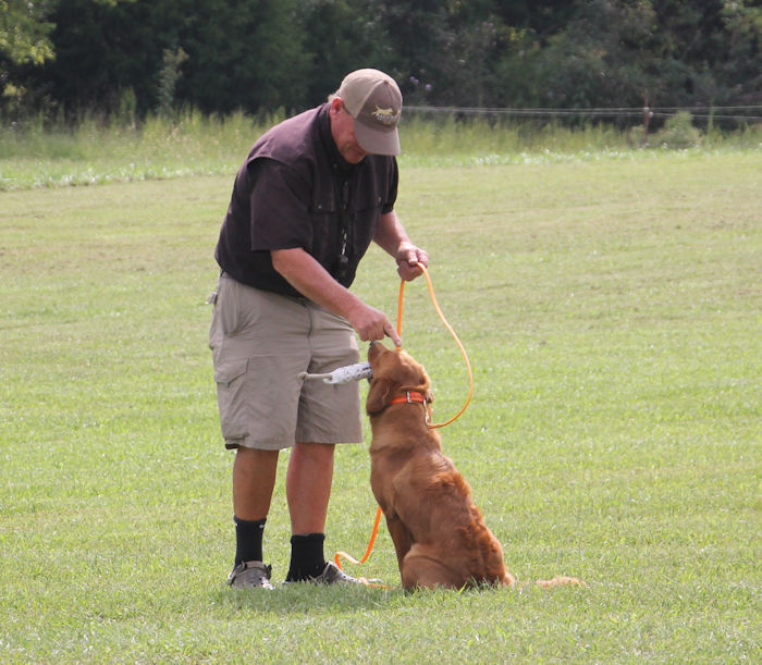 Fee with trainer