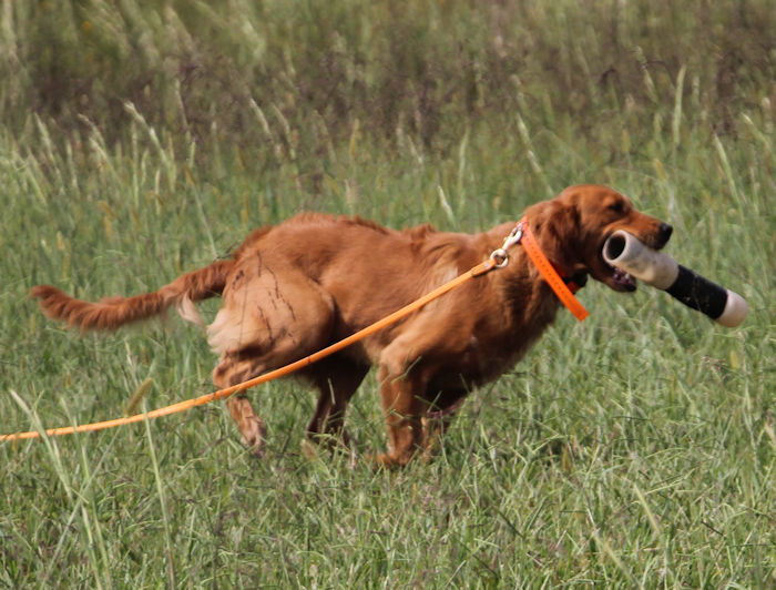 /Fee retrieving