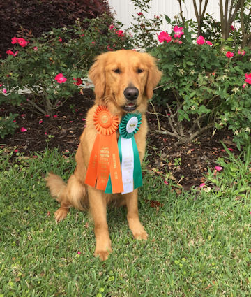 MissyJ with her SH & WC ribbons, 4/18/19
