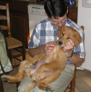 Penny sprawled on Jim's lap