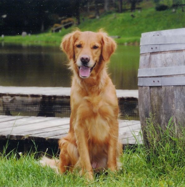 Penny sitting by pond