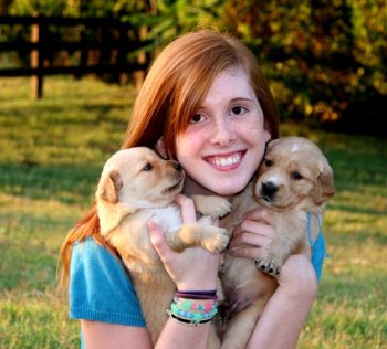 puppies
