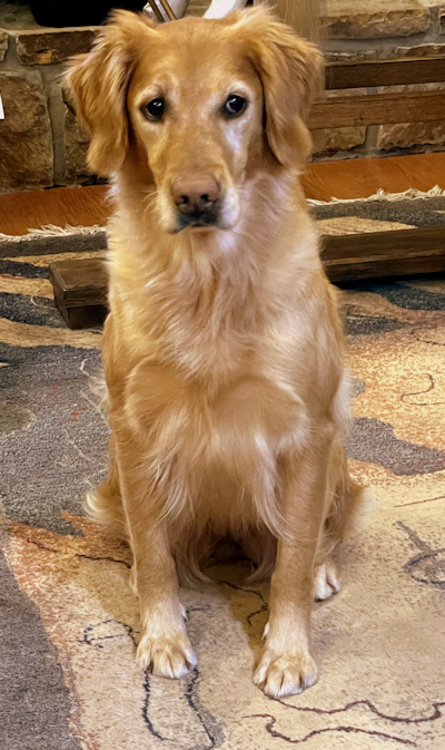 Py at 6 years