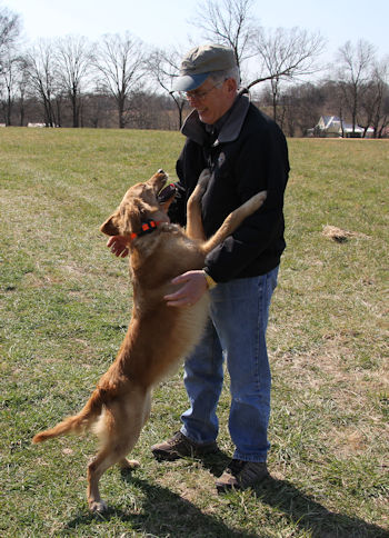 Py at 14 months