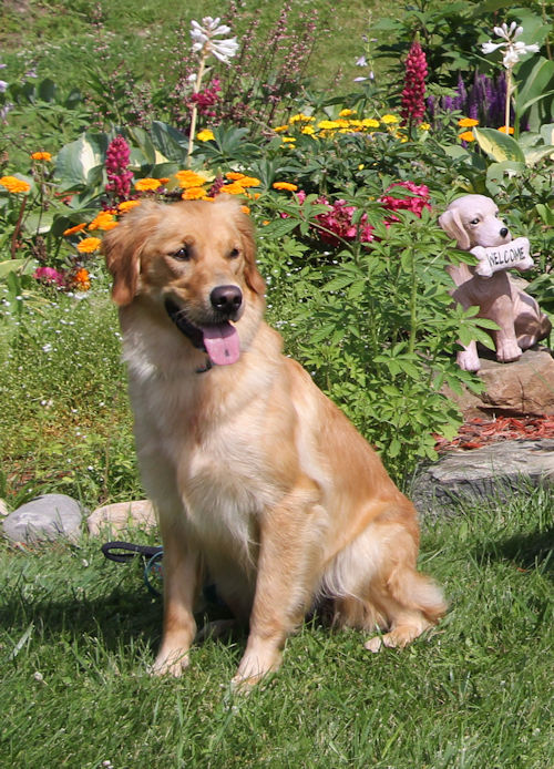 Py at 18 months