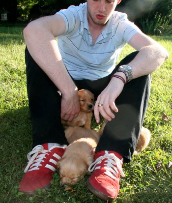 puppies