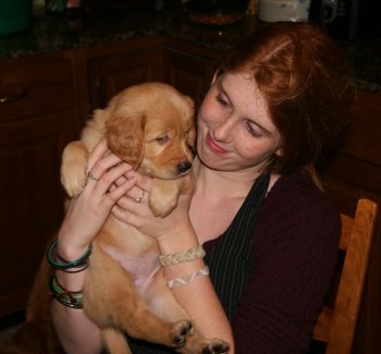 puppy