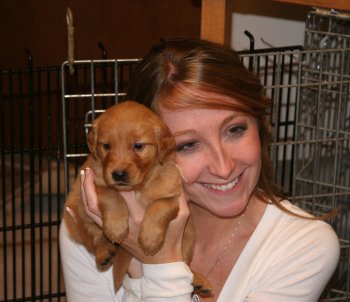 puppy