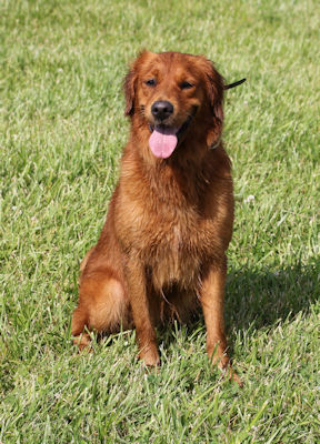 Zoey