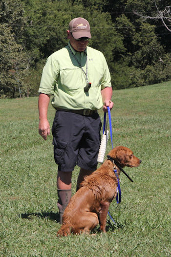 Zoey on leash