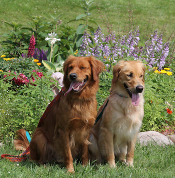 Zoey and Py